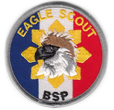 ES Patch